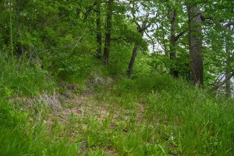 Tbd Chippewa Heights NW Brandon MN 56315