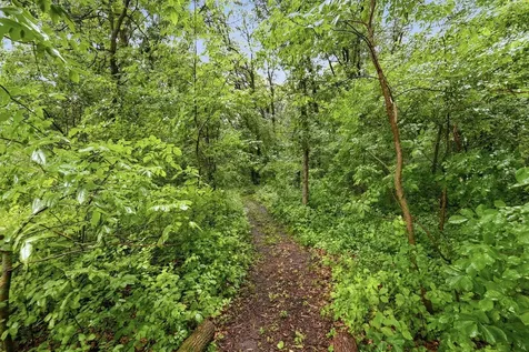 2013 E Oak Knoll Drive NE Alexandria MN 56308