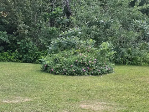 39859 County Road 63 Cohasset MN 55721