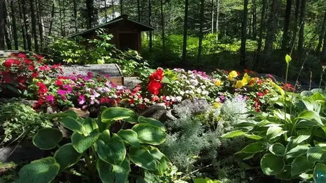 139 Howard Gnesen Road Duluth MN 55811