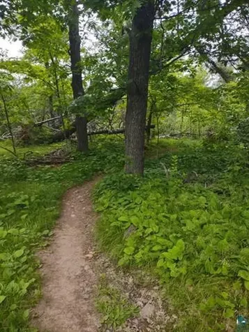 139 Howard Gnesen Road Duluth MN 55811