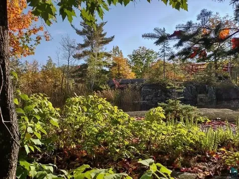 139 Howard Gnesen Road Duluth MN 55811
