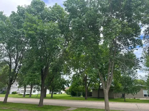 408 1st Avenue SW Hankinson ND 58041