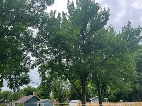 408 1st Avenue SW Hankinson ND 58041