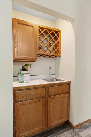 547 Abbey Way Mendota Heights MN 55120