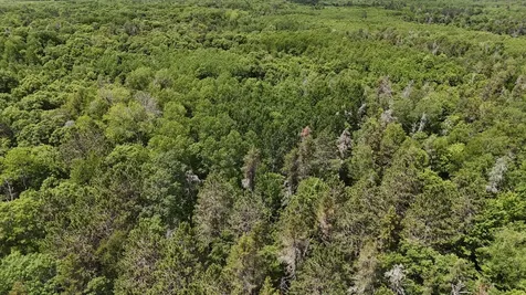 12997 E Mail Road Gordon WI 54838