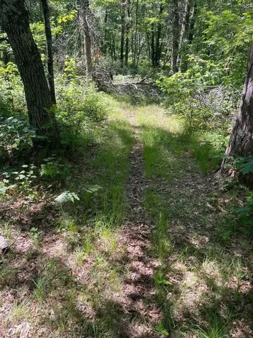 12997 E Mail Road Gordon WI 54838