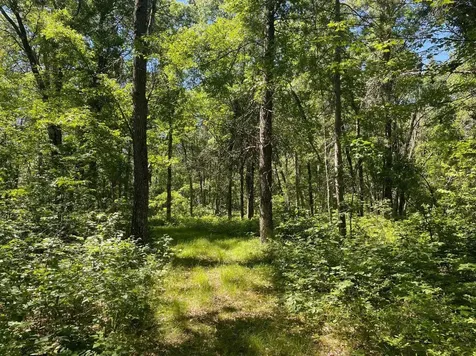 12997 E Mail Road Gordon WI 54838