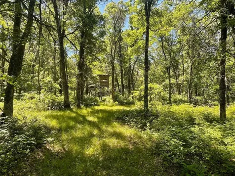 12997 E Mail Road Gordon WI 54838