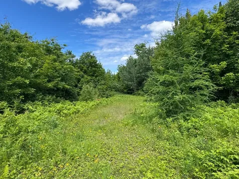 Tbd 300th Lane Mcgregor MN 55760