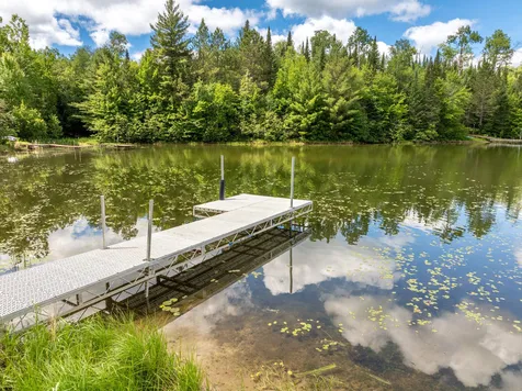 21106 Horsehead Lake Trail Bigfork MN 56628