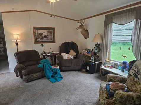 41232 Marion Drive N Perham MN 56573