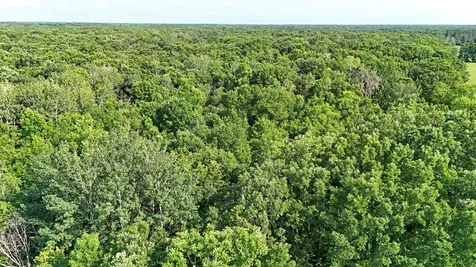 Unassigned 155th Avenue Milaca MN 56353