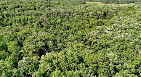 Unassigned 155th Avenue Milaca MN 56353