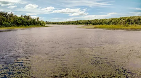 26667 Edna Lake Road Nisswa MN 56468