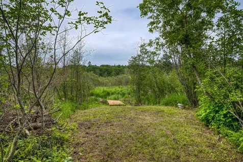 39332 Orchid Trail Bemidji MN 56461