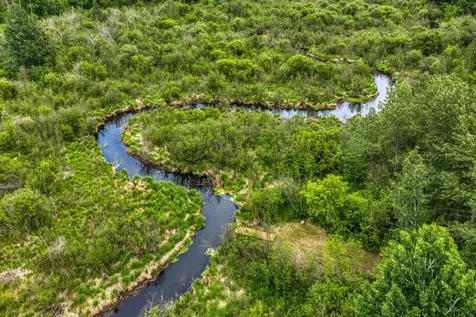 39332 Orchid Trail Bemidji MN 56461