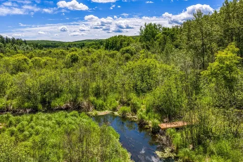 39332 Orchid Trail Bemidji MN 56461