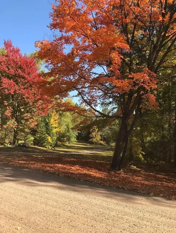 8767 S Lyman Lake Road South Range WI 54874