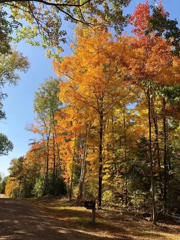 8767 S Lyman Lake Road South Range WI 54874