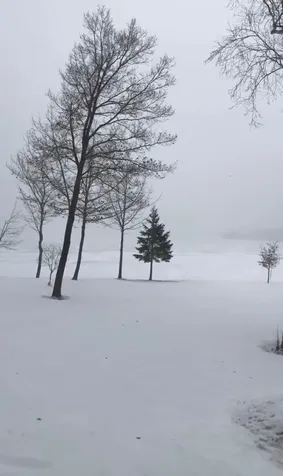 8767 S Lyman Lake Road South Range WI 54874