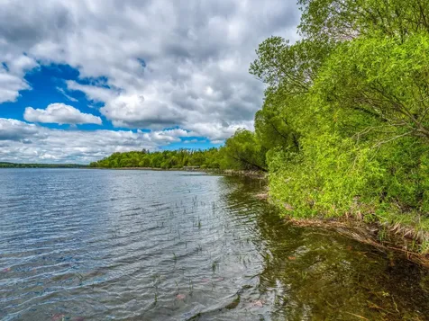 10586 Turtle River Lake Road NE Bemidji MN 56601