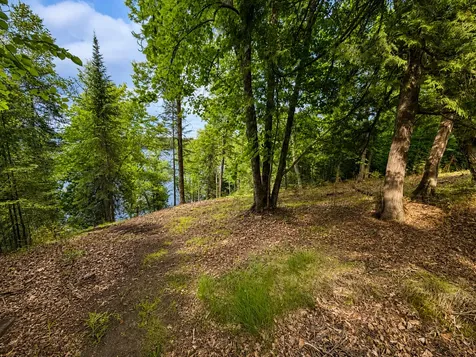50573 Evergreenpoint Road Bigfork MN 56628