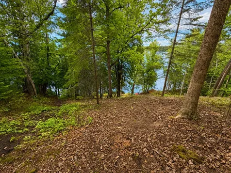 50573 Evergreenpoint Road Bigfork MN 56628