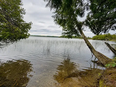 50573 Evergreenpoint Road Bigfork MN 56628