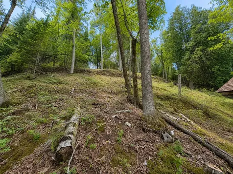 50573 Evergreenpoint Road Bigfork MN 56628
