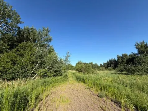 11617 70th Avenue Milaca MN 56353