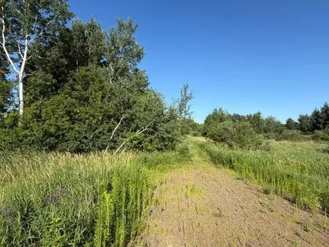 11617 70th Avenue Milaca MN 56353
