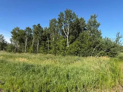11617 70th Avenue Milaca MN 56353