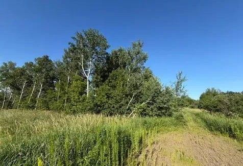 11617 70th Avenue Milaca MN 56353