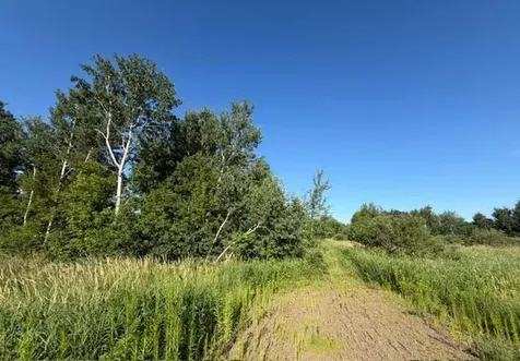 11617 70th Avenue Milaca MN 56353