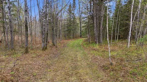 12502 Van Horn Road Floodwood MN 55736