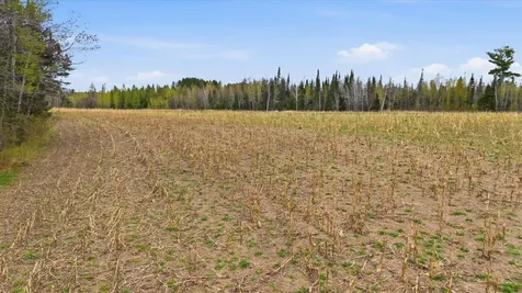 12502 Van Horn Road Floodwood MN 55736