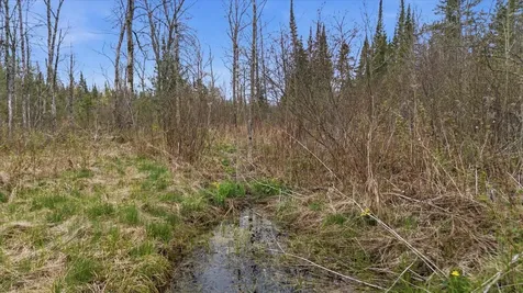 Tbd Highway 73 Floodwood MN 55736