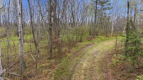 Tbd Highway 73 Floodwood MN 55736