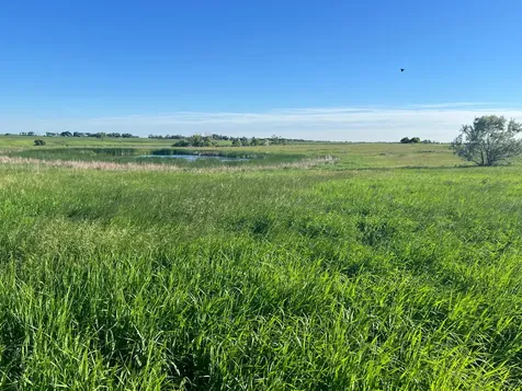 Tbd SE 90th Street Rutland ND 58067