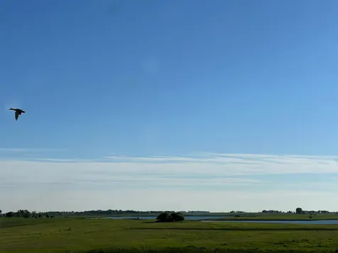 Tbd SE 90th Street Rutland ND 58067