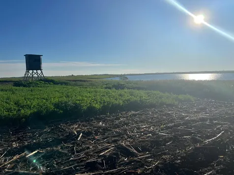 Tbd SE 90th Street Rutland ND 58067