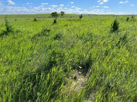 Tbd SE 90th Street Rutland ND 58067