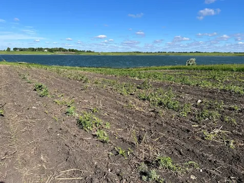 Tbd SE 90th Street Rutland ND 58067