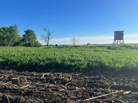 Tbd SE 90th Street Rutland ND 58067