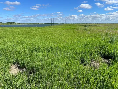 Tbd SE 90th Street Rutland ND 58067