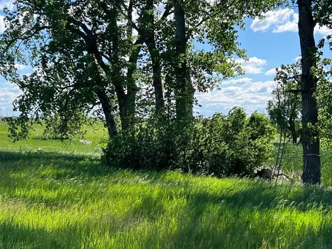 Tbd SE 90th Street Rutland ND 58067