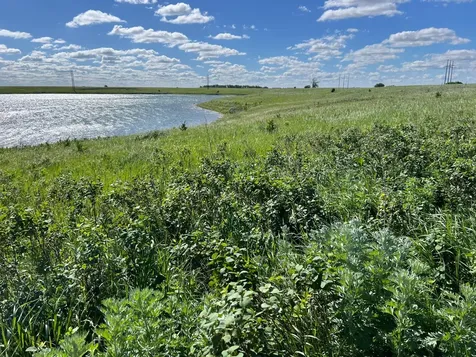 Tbd SE 90th Street Rutland ND 58067
