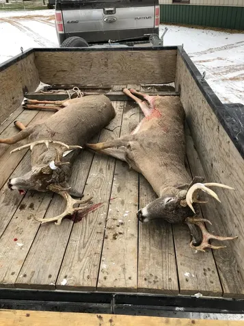 Tbd SE 90th Street Rutland ND 58067