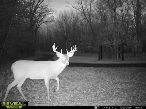 5121 Dake Road Siren WI 54872